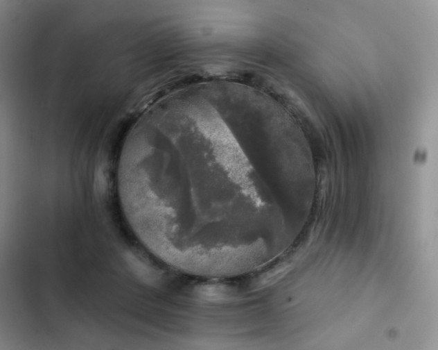 X0000103220408200808281412