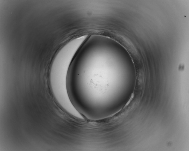 X0000103220409200808281412