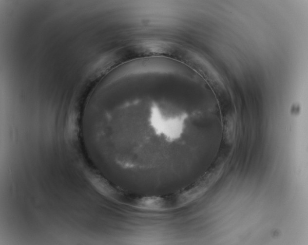 X0000103220410200808281412
