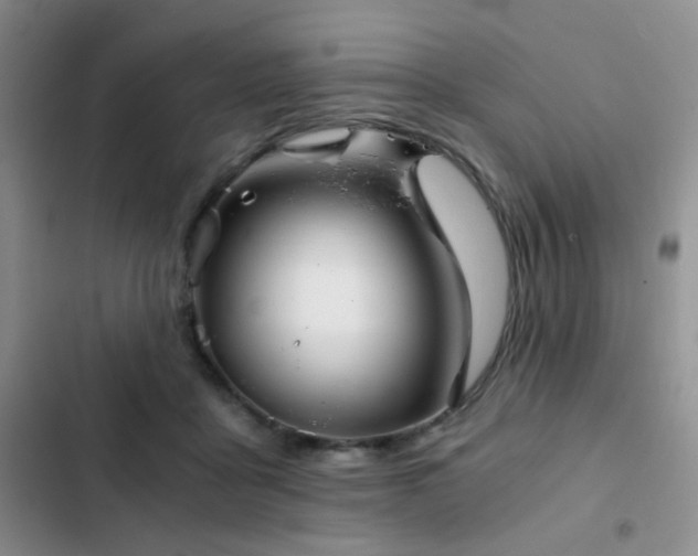 X0000103220411200808281412