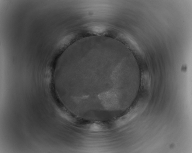 X0000103220412200808281412