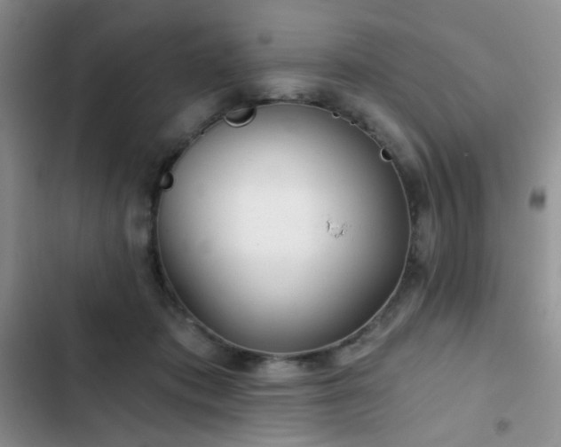 X0000103220413200808281412