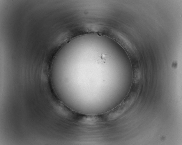 X0000103220414200808281412