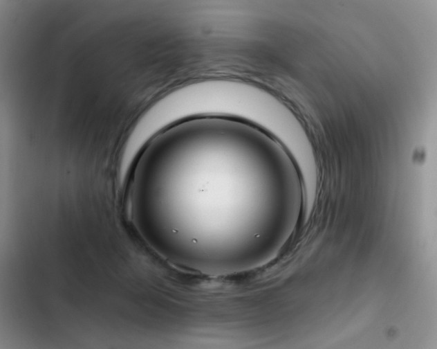 X0000103220415200808281412