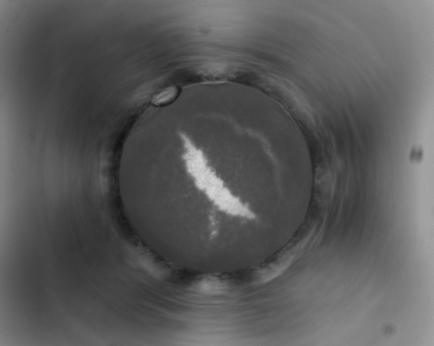 X0000103220416200808281412