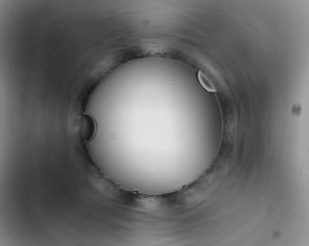 X0000103220417200808281412