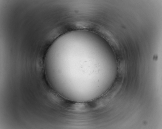 X0000103220418200808281412