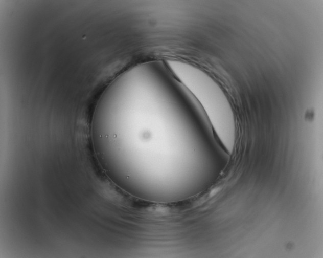 X0000103220419200808281412