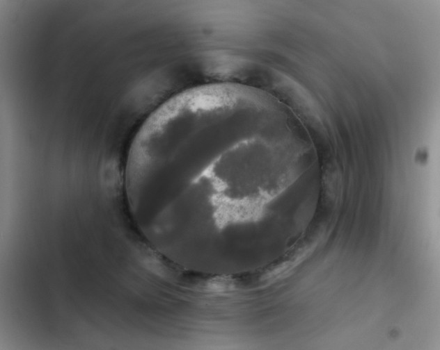 X0000103220420200808281412