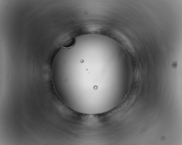 X0000103220421200808281412