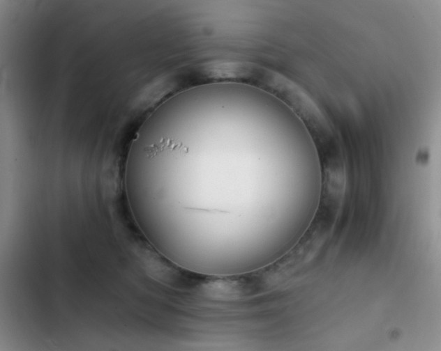 X0000103220422200808281412