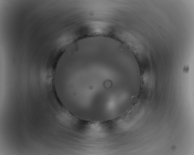 X0000103220423200808281412