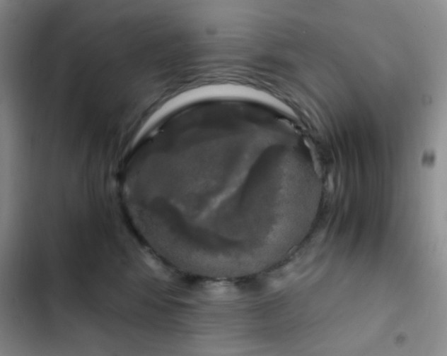 X0000103220424200808281412