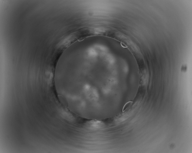 X0000103220427200808281412