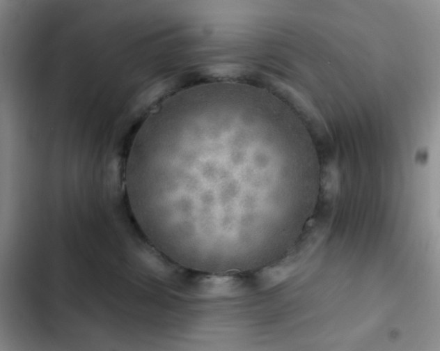 X0000103220428200808281412