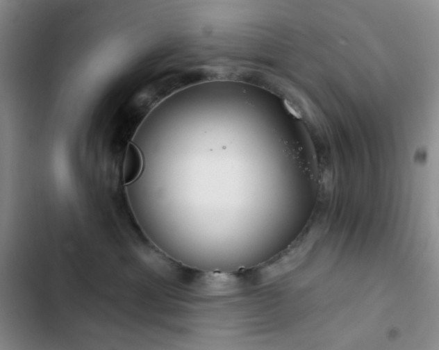 X0000103220429200808281412