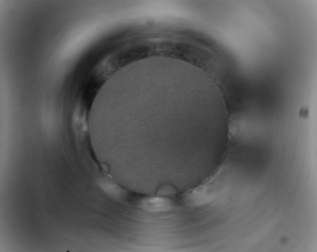 X0000103220431200808281412