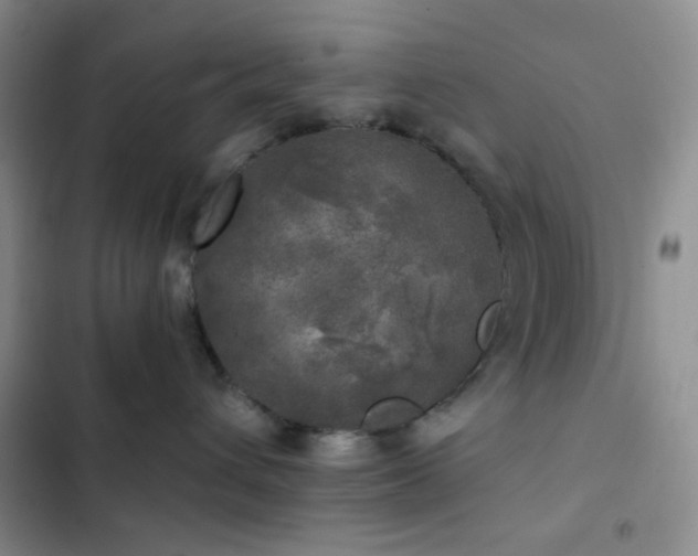 X0000103220432200808281412