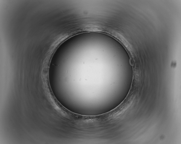 X0000103220433200808281411