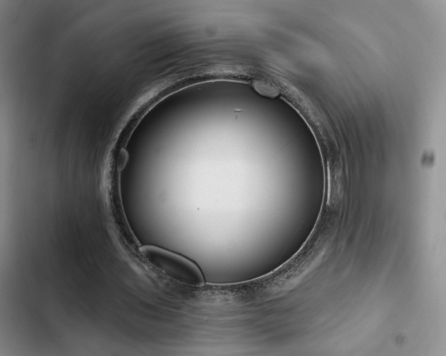 X0000103220435200808281411