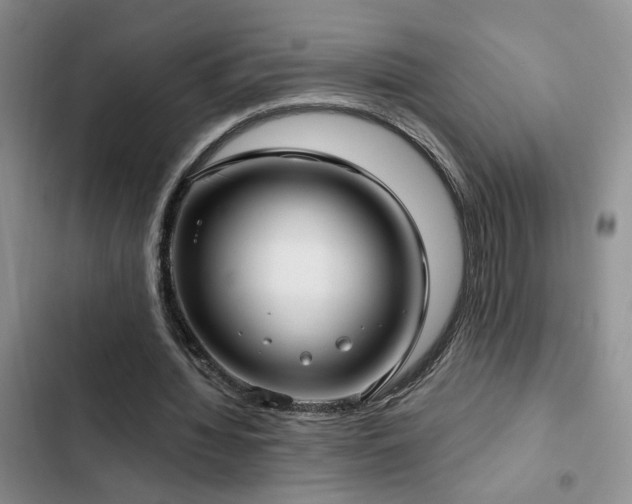 X0000103220436200808281411
