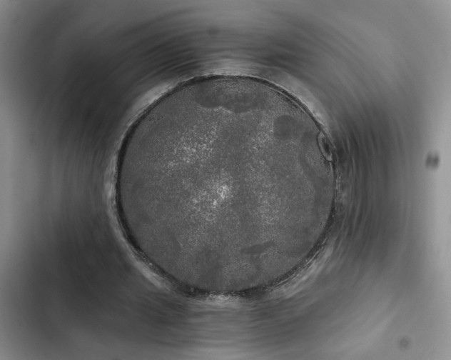 X0000103220437200808281411
