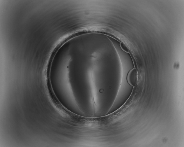 X0000103220438200808281411