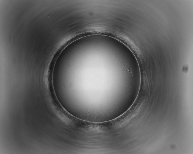 X0000103220439200808281411
