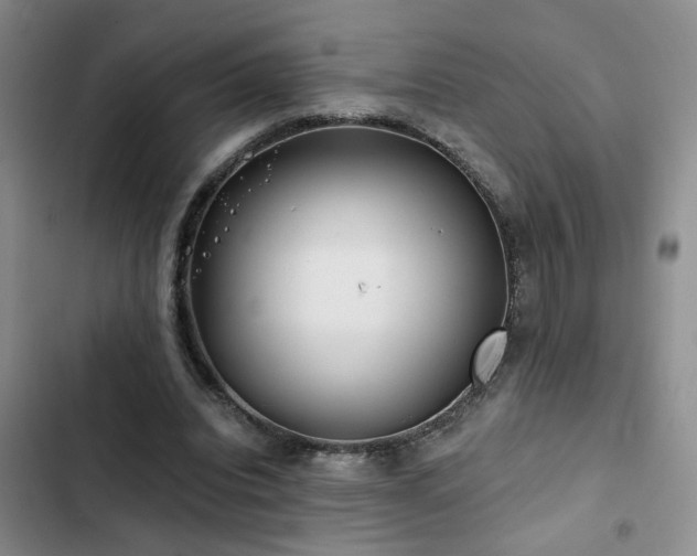X0000103220440200808281411