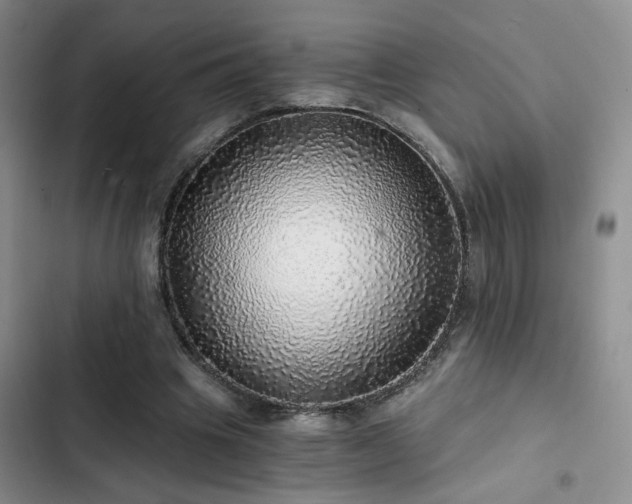 X0000103220441200808281411