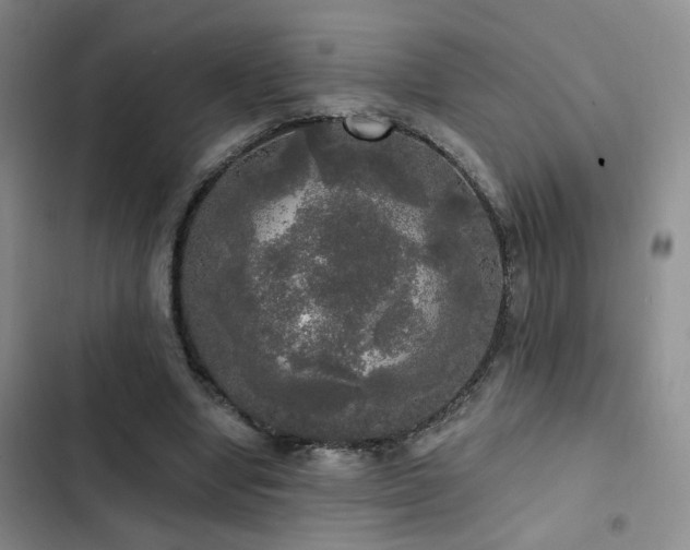 X0000103220442200808281411