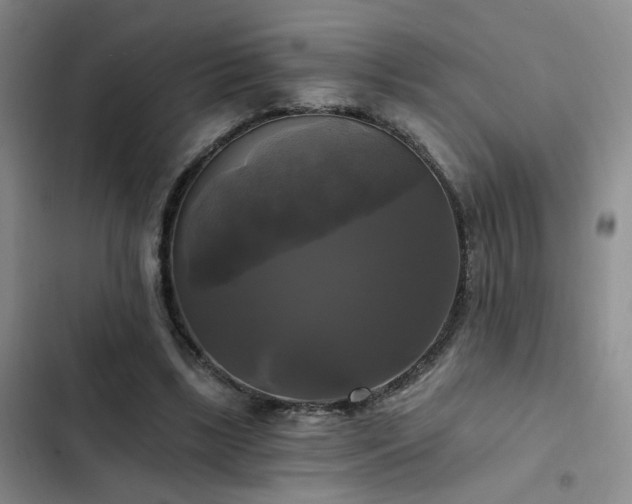 X0000103220443200808281411
