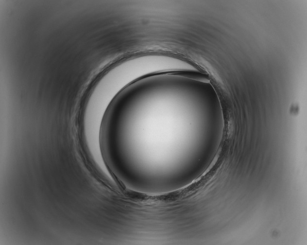 X0000103220444200808281411
