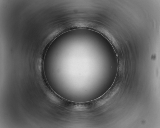 X0000103220445200808281411