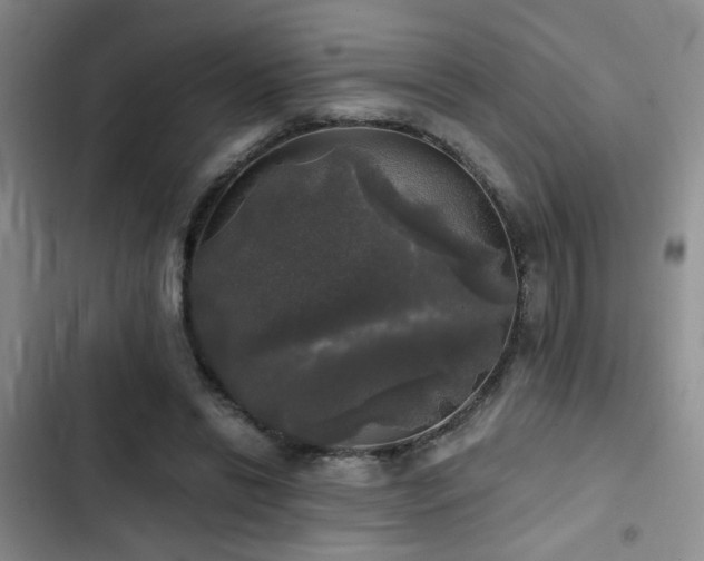 X0000103220446200808281411