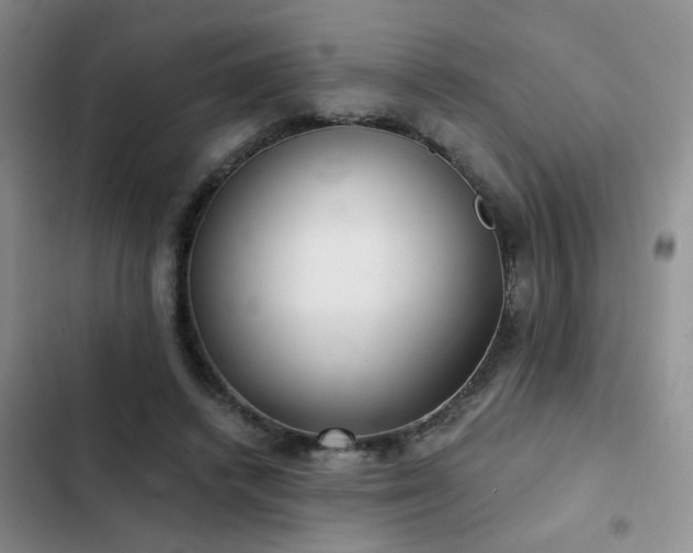 X0000103220448200808281411