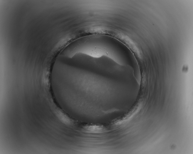 X0000103220449200808281411