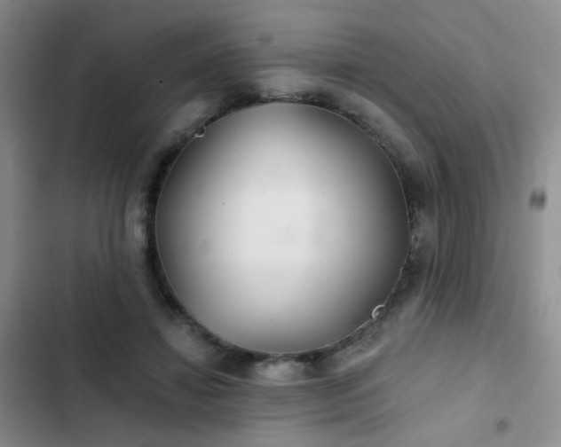 X0000103220452200808281411