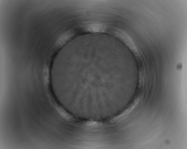 X0000103220453200808281411