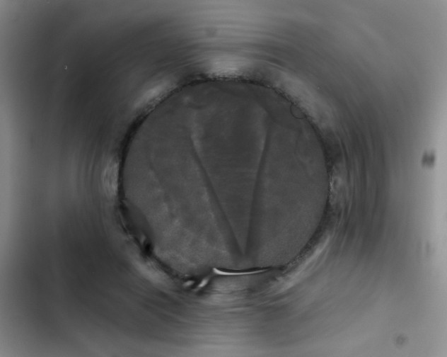X0000103220454200808281411