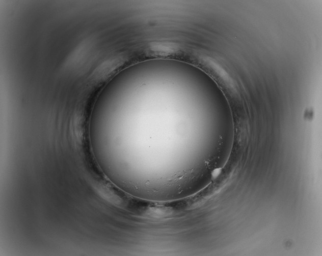 X0000103220455200808281411