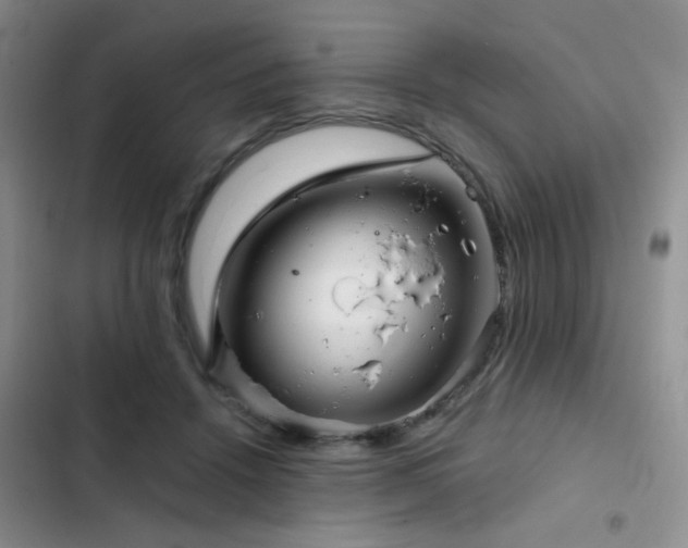X0000103220456200808281412