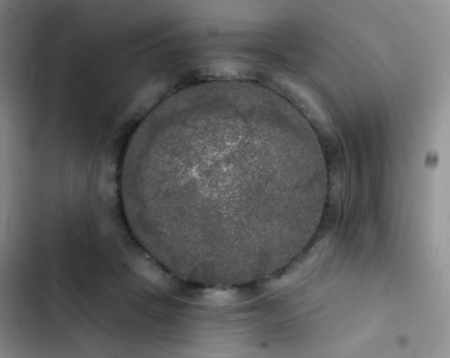 X0000103220457200808281412