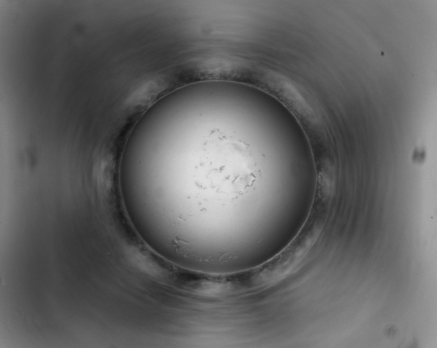 X0000103220458200808281412