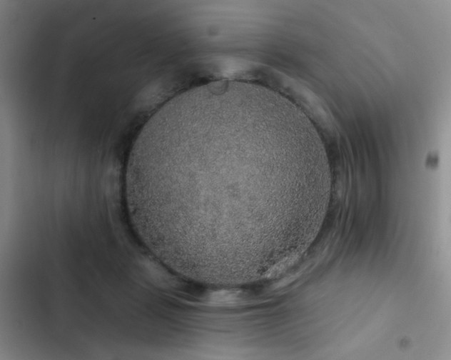 X0000103220461200808281412