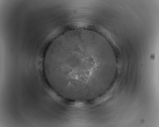X0000103220462200808281412