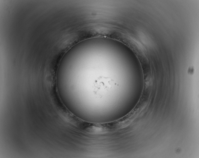 X0000103220464200808281412