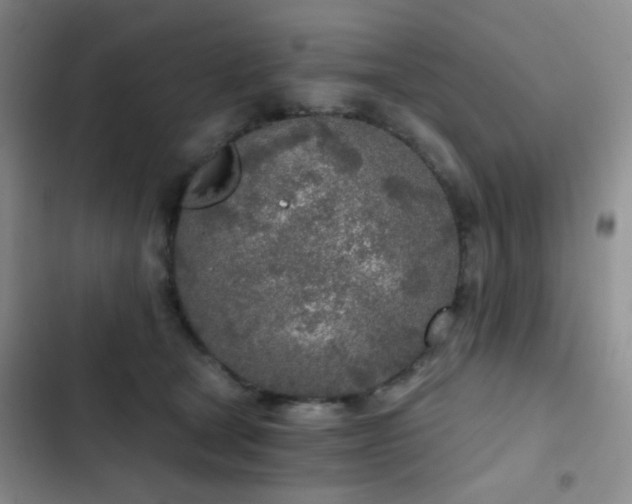 X0000103220465200808281412