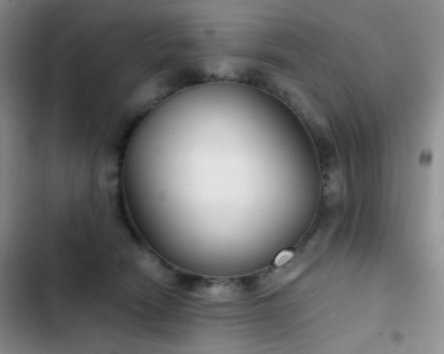 X0000103220466200808281412