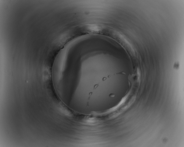 X0000103220467200808281412
